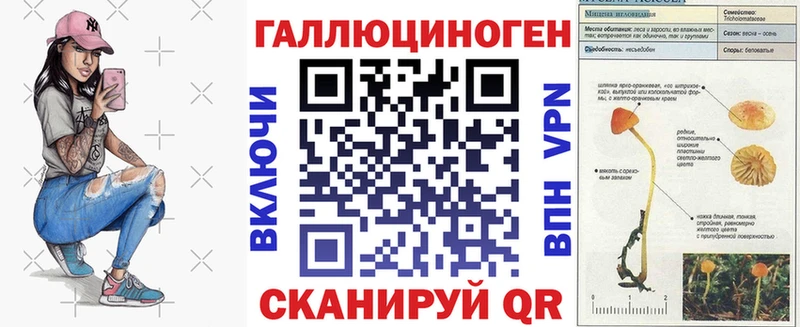 Псилоцибиновые грибы GOLDEN TEACHER  где найти наркотики  Сарапул 