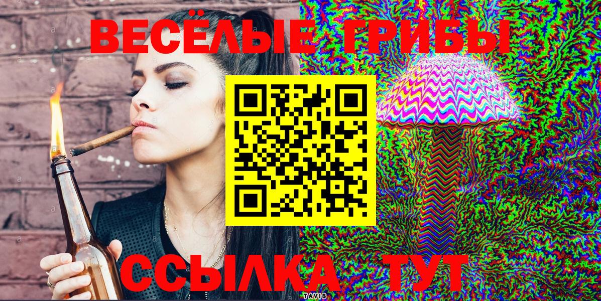 Псилоцибиновые грибы мицелий Сарапул