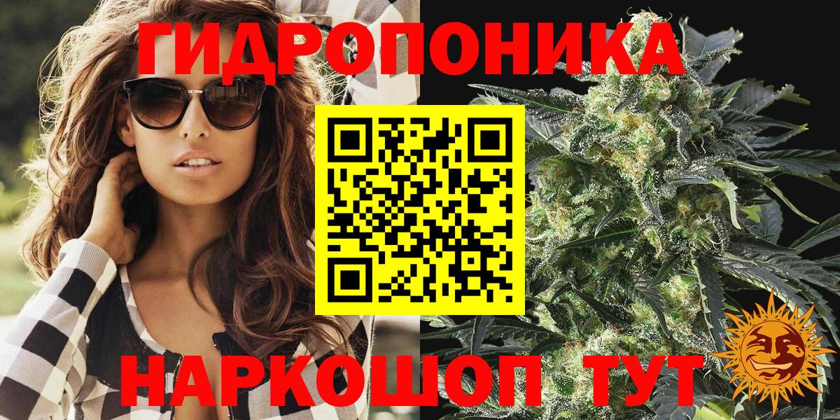 Марихуана планчик  Канабис семена  Сарапул  Вход с VPN  Каннабис Bruce Banner  Шишки марихуана марихуана 